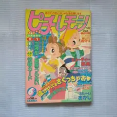 値下げ】ピチレモン2006年2月号 付録なし - メルカリ