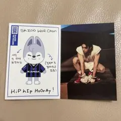 スキズ　KARMA skzoo プロフィールカード　バンチャン　ウルフチャン