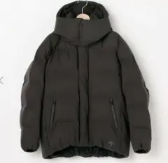 希少 ビショップ別注 水沢ダウン デサントオルテライン