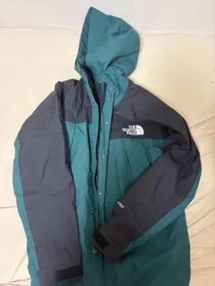 廃盤 希少カラー THE NORTH FACE Mountain Light