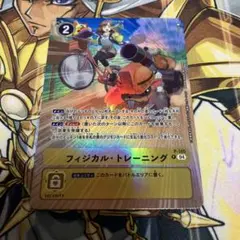 フィジカル・トレーニング パラレル