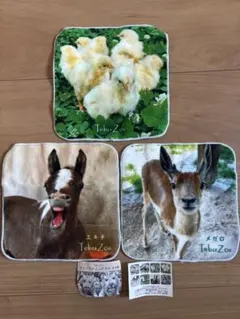 TobuZoo 動物デザイン タオルセット