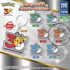 ポケモン 30周年 メタルチャームマスコット　リザードン