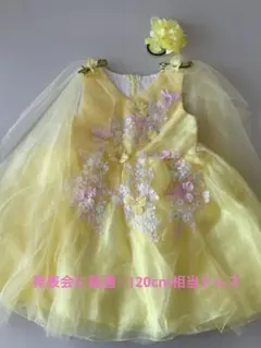 Item thumbnail for item 073b639a-54c4-4fea-97fb-d52f8f553127