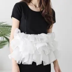【AMELY】ボリュームフリルトップス　オーガンジー【試着のみ新品】のサムネイル