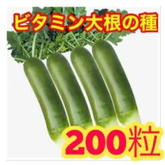 boca☆abc様 リクエスト 4点 まとめ商品