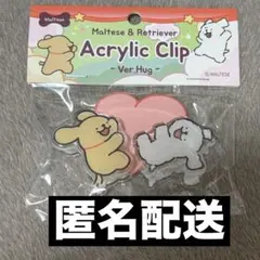 モルチーズ アクリルクリップ カレンダー 初期傷あり