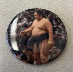 Item thumbnail for item 55055227-d36e-4e58-b13f-bb464519ff93