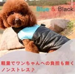 Item thumbnail for item 155f833b-d450-4ad6-951d-446cc4a3b633