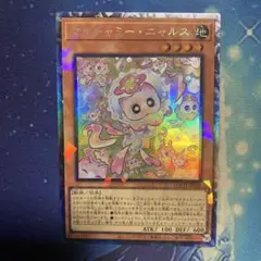 マルチャミーニャルス コレクターズ