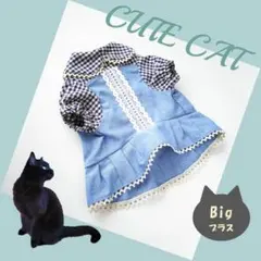 猫服SALE【ブルーチェックワンピ】Bigサイズプラス　ハンドメイド