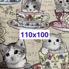 Item thumbnail for item dffea39a-d883-41da-b7e3-a988d260e9c5