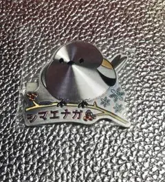 Item thumbnail for item 56d64c5e-350b-40b7-951f-f2500e7c8a61