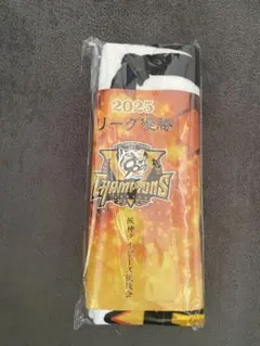 阪神タイガースのサムネイル