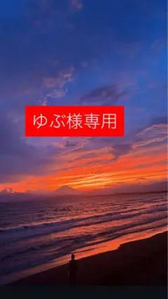 タイガースブレスレット