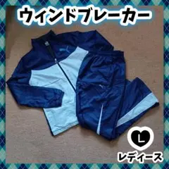 Item thumbnail for item 34ce78b1-4d0f-41a6-b315-a3f81ae74e02