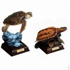 日本のカメ 特装版 ネイチャーテクニカラー アカウミガメ・リュウキュウヤマガメのサムネイル