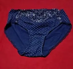 補正下着　大きいサイズのネイビー水玉模様レース付きガードル