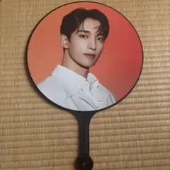 SEVENTEEN BETHESUN うちわ SEVENTEEN セブチ ジョシュア ワールドツアー BE THE SUN JAPAN うちわ