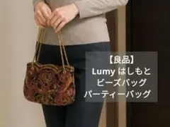 Lumy はしもと】ビーズ刺繍バック - メルカリ