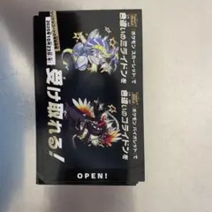 ポケモン　色違い　ミライドン　コライドン