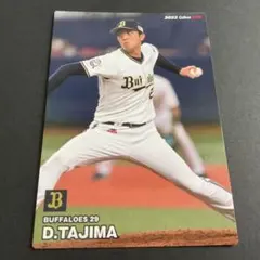 オリックス・バファローズ 田嶋大樹 プロ野球チップスカード 2枚セット