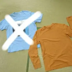 Item thumbnail for item c1b93e70-51c4-41a3-ae4a-99257cfed3c2