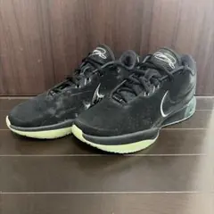 Nike レブロン 21 EP タイタン - メルカリ