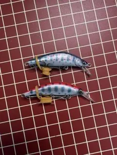 にこる様専用 レイチューン