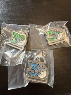 ポケモン 30周年 めじるしアクセサリー 3点セット