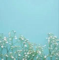 sumama様　専用