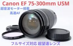 6月29日限定特価【超望遠レンズ】Canon EF 75-300mm Ⅱ - メルカリ