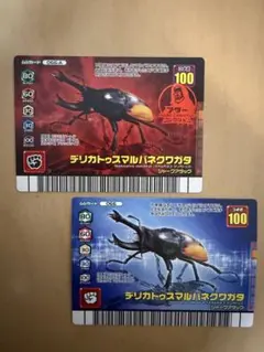 德利卡圖斯圓翅鍬形蟲 昆蟲王者 鑽石藍 亞達 套組