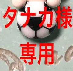 専用ページ