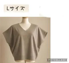 Vネック ニットベスト ベージュ Lサイズ lauise