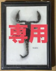 プロフィール読んでください！様 リクエスト 2点 まとめ商品