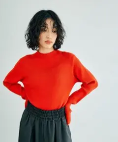 LEPSIM 12ゲージハイネックリブプルオーバー　kbf