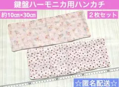 Item thumbnail for item ab338537-8809-49ea-9211-2d158780b300