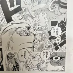 ONE PIECE ALL PAGES ニカ ボニー ワンピース ベースショップ - メルカリ