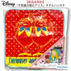 【新品未開封】不思議の国のアリス タオルハンカチ