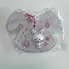 サンリオキャラクターズ パッケージチャーム&チョコボーロ　ウィッシュミーメル