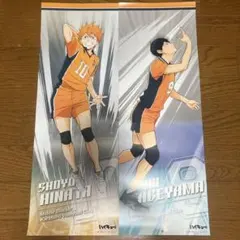 ハイキュー日向翔陽 影山飛雄ポスター