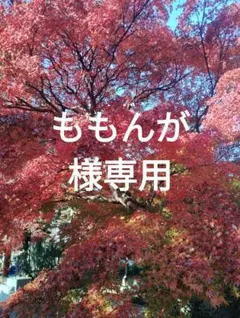 セイコー　PYXIS　かんたんピッタリ電波時計　新品未使用