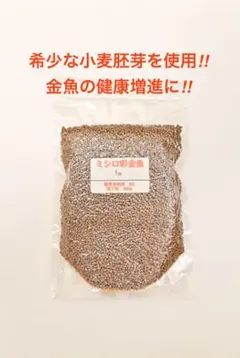 わてん様 リクエスト 2点 まとめ商品