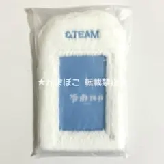 &TEAM EJ NICHOLAS K YUMA フォトカードホルダー（雪明り）