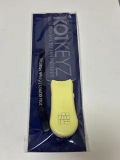 KO1KEYZ コイキーズ 1ST FAN MEETING プレートペンライト