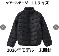 Item thumbnail for item 7e3d6dd2-9077-4c49-b0c4-8c7c90a3556e