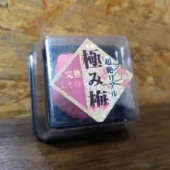 【レア♡】超絶リアル 極み梅 スクイーズ 赤 完熟しそ梅