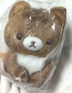 ココアキャット　ぬいぐるみ　コリラックマストア　限定