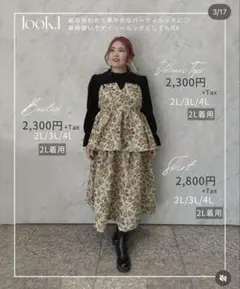 安藤うい デアリクト ゴブランビスチェ 4Lのサムネイル